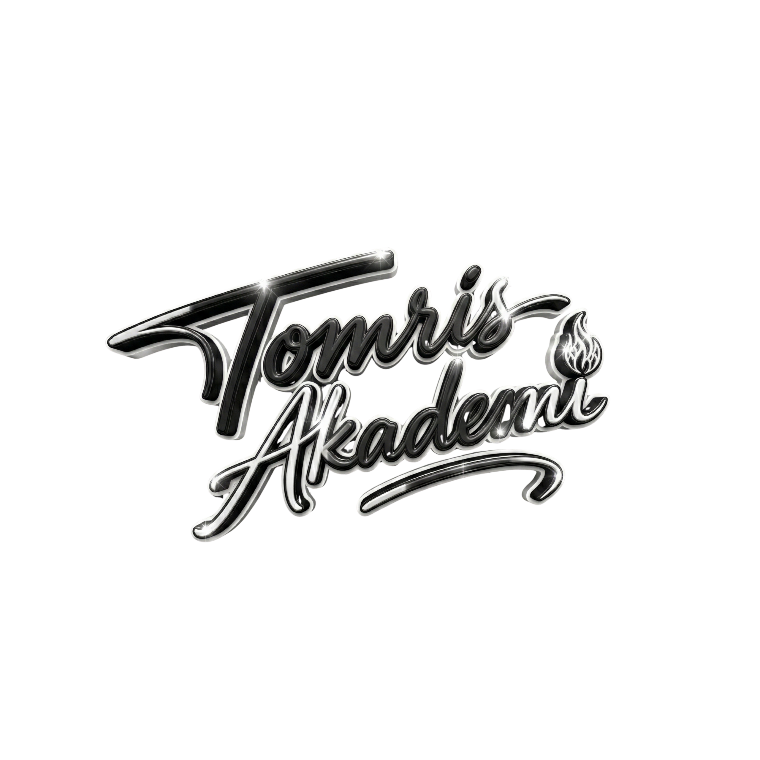 TOMRİS AKADEMİ EĞİTİM DANIŞMANLIK